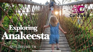 Exploring Anakeesta Mountaintop Park  Gatlinburg TN [upl. by Yevol]