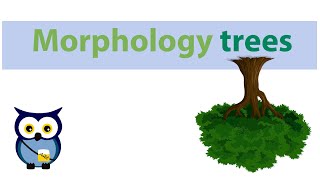 Morphology trees [upl. by Alyakim]