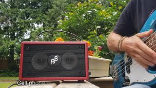 Phil Jones Bass Double Four unboxing and review [upl. by Wake]