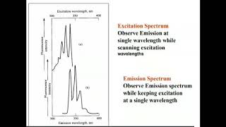 Excitation and emission Spectra in fluorescence [upl. by Hutchins282]