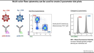 Lecture 7b Flow Cytometry [upl. by Nacim246]