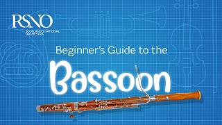 How To Play The Bassoon A RSNO Beginners Guide [upl. by Sheilah]