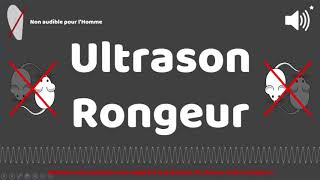 Puissant ultrason contre pour rongeur rats souris 1 HEURE [upl. by Noelani]