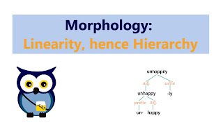 Morphology Linearity hence Hierarchy [upl. by Leban601]