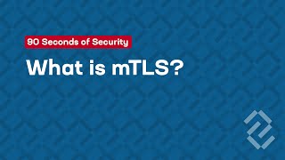 What is Mutual TLS mTLS [upl. by Audy677]