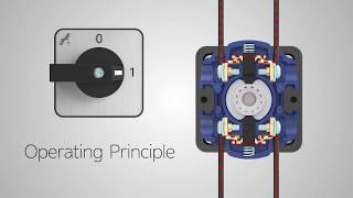 Rotary Cam Switch [upl. by Bent266]