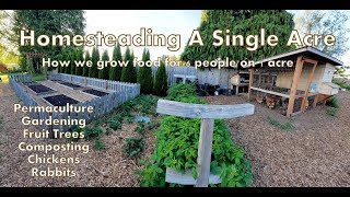 Our 1 Acre Homestead  How We Micro Farm [upl. by Philipps]