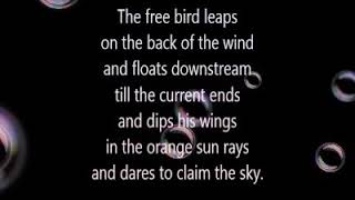 Caged Bird by Maya Angelou [upl. by Dace]