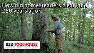 Ep156 Homestead History  How did early settlers clear land [upl. by Ativahs741]