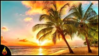 Island Reggae Music  Upbeat Tropics  Tropical Island Beach Music [upl. by Tzong]