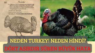 HİNDİ VE TURKEY NEREDEN GELİYOR [upl. by Rengia]