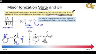 Acidity and Ionization States of Amino Acids [upl. by Leschen]