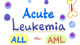 Acute Leukemia  ALL and AML  Hematology and Oncology Series [upl. by Hearsh]