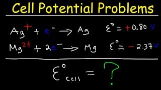 Cell Potential Problems  Electrochemistry [upl. by Tirzah824]