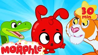 Morphle And The Scary Animals  Halloween  My Magic Pet Morphle  Cartoons For Kids  Morphle TV [upl. by Nnyltiak]