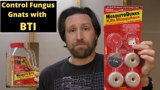 Control Fungus Gnats with BTI Mosquito Dunks  The Ultimate Guide [upl. by Fritzie]