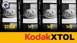 FILM DEVELOPING  KODAK XTOL DILUTIONS [upl. by Raynold]