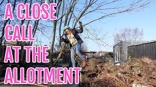 CLOSE CALL AT THE ALLOTMENT  ALLOTMENT GARDENING UK [upl. by Anivram693]