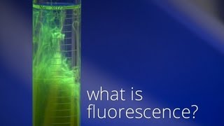 What is Fluorescence [upl. by Abdu343]