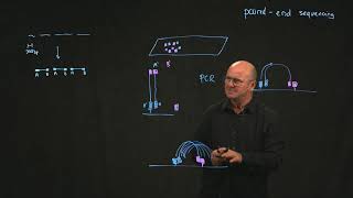 illumina paired end sequencing [upl. by Fagan712]