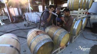 Vine to Wine Winemaking at Naggiar Vineyards [upl. by Reinhart708]