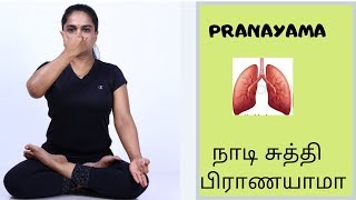 How to Do Pranayama நாடிசுத்தி பிராணயாமா in Tamil explained by DrLakshmi Andiappan [upl. by Celestyn12]