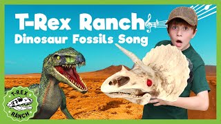 Dinosaur Fossils Song  A Long Long Time Ago TRex Ranch Songs for Kids [upl. by Soalokcin279]