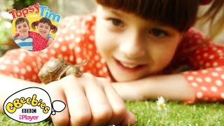 Topsy and Tim  Theme Tune  CBeebies [upl. by Solegnave]