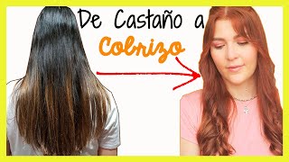 Cómo PINTAR el cabello COBRIZO💆‍♀️ SIN DECOLORAR 👩‍🦰 [upl. by Aierdna]