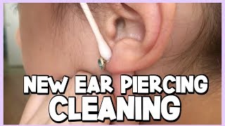 HOW TO CLEAN YOUR NEWLY PIERCED EARS  Ear Piercing Aftercare [upl. by Brathwaite]