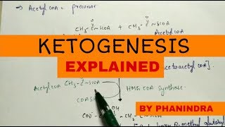 Ketogenesis  Metabolism and degradation  Energetics [upl. by Aivon]