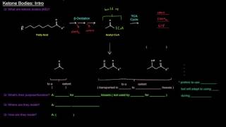 Ketone Bodies Part 1 of 4  Intro [upl. by Lucretia]