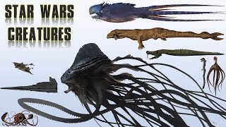 20 Biggest Star Wars Monsters  Explained [upl. by Yorick309]