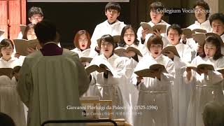 Palestrina Sicut Cervus  Collegium Vocale Seoul 콜레기움 보칼레 서울 [upl. by Andromada]