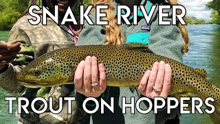 Epic Snake River Hopper Fishing [upl. by Okorih]