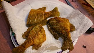 Frying WHOLE Blue Gills You NEED To Try This [upl. by Ketty]