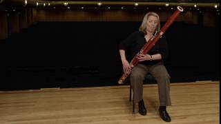 What does a bassoon sound like Ode to Joy [upl. by Kleinstein]