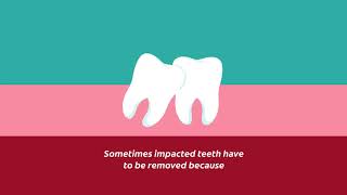 What Is a Wisdom Tooth Extraction  Colgate® [upl. by Ardnosak]