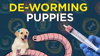 Deworming Puppies [upl. by Joana]