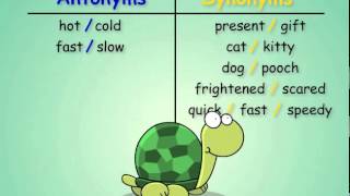 Antonyms and Synonyms [upl. by Damal]