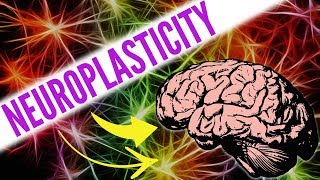 Top 8 Way Increase Neuroplasticity [upl. by Asinet823]