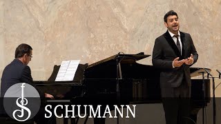 Schumann  Dichterliebe op 48 [upl. by Ranee253]