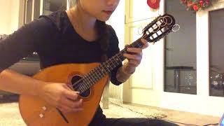 Tarantella Napoletana  Mandolin [upl. by Tur]