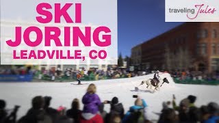 Ski Joring The Wildest Winter Sport You’ve Never Heard Of Leadville CO [upl. by Elcin]