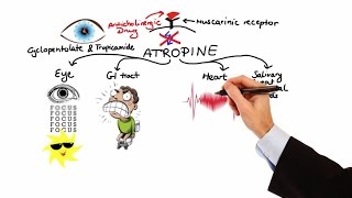 Pharmacology  ANTICHOLINERGIC amp NEUROMUSCULAR BLOCKING AGENTS MADE EASY [upl. by Anwahsed]