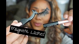 Glam Strip Lashes with Magnetic Eyeliner  NO GLUE  Amazon [upl. by Lladnew]