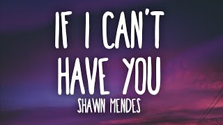 Shawn Mendes  If I Cant Have You Lyrics [upl. by Nilorac314]