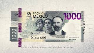 Billete de 1000 pesos de la familia G  Revolución Mexicana [upl. by Fionnula641]