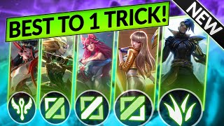 TOP 4 ONE TRICK CHAMPS for EVERY ROLE  Best Champions to Main  LoL 1319 Tier List Guide [upl. by Marylynne621]