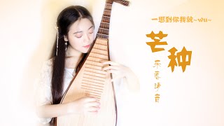 【芒種】 PiPa Chinese Lute Cover by 樂落清音 [upl. by Ahsir365]